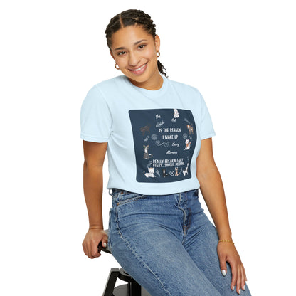 My Cat Is The Reason Cat - T-Shirt