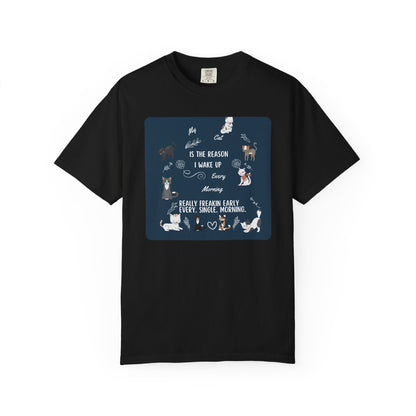 My Cat Is The Reason Cat - T-Shirt