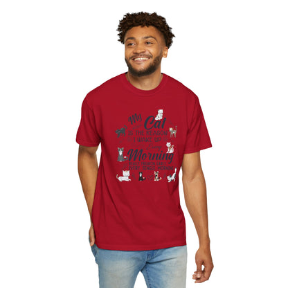My Cat Is The Reason Cat - T-Shirt